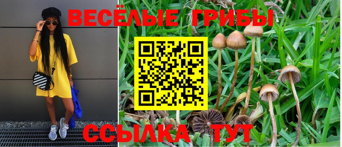 Юрга  Галлюциногенные грибы прущие грибы  Вход с VPN 